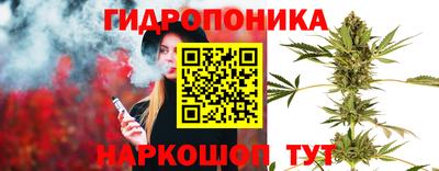 скорость Канаш