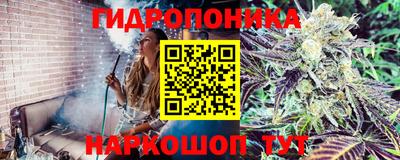 скорость Канаш
